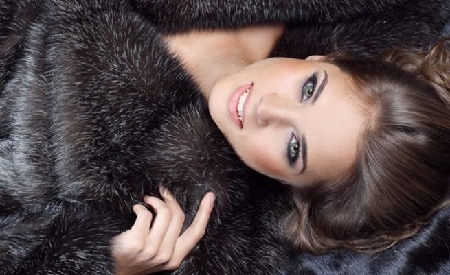 The essential fur care tips